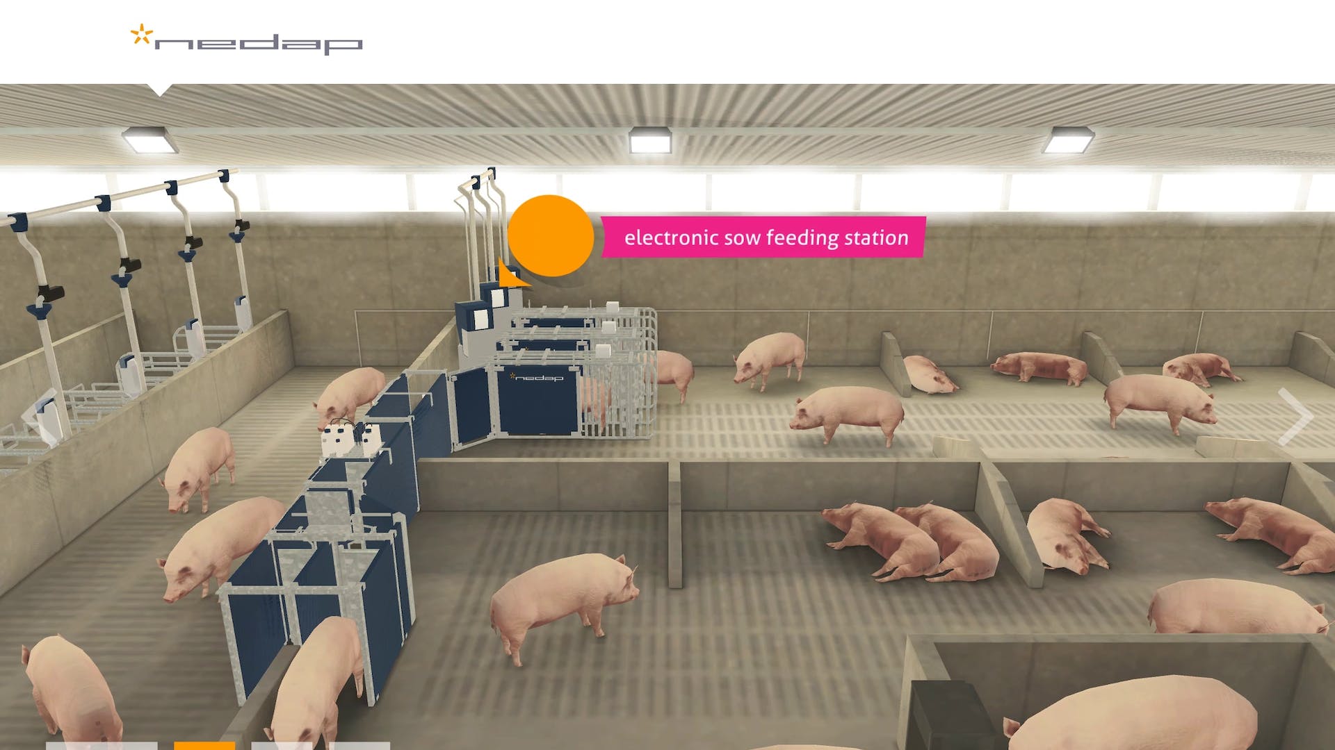 Nedap Livestock